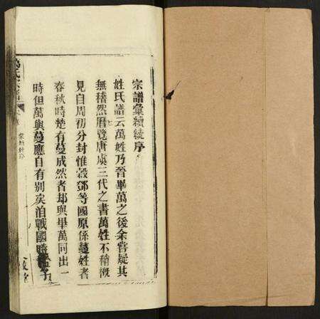 湖北万氏族谱-万氏宗谱.pdf电子版预览图1