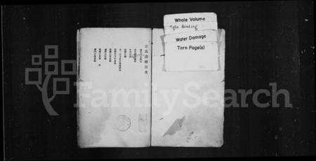 中国汪氏族谱-汪氏谱略.pdf电子版预览图1