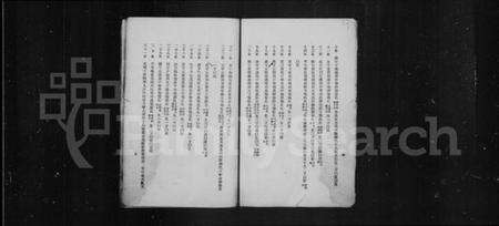 中国汪氏族谱-汪氏谱略.pdf电子版预览图4