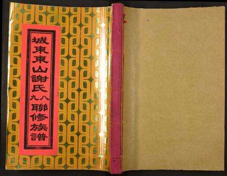 江西谢氏族谱-城东东山谢氏八九联修族谱.pdf电子版缩略图