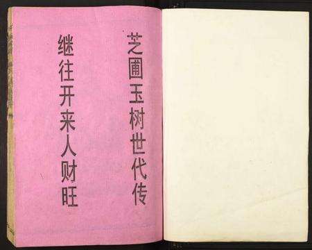 江西谢氏族谱-城东东山谢氏八九联修族谱.pdf电子版预览图1