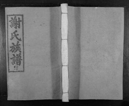 江西谢氏族谱-寻邬闰兴户谢氏二修族谱[16卷].pdf电子版缩略图