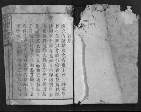 江西谢氏族谱-会稽谢氏八修族谱.pdf电子版预览图1