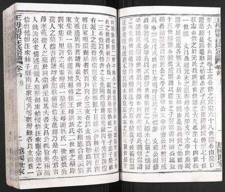 湖北汪氏族谱-王母湖东汪氏宗谱.pdf电子版预览图2