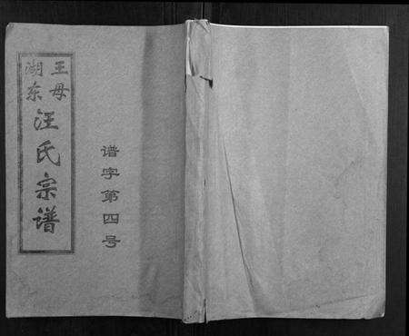 湖北汪氏族谱-王母湖东汪氏宗谱[16卷首1卷].pdf电子版缩略图