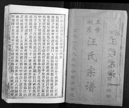 湖北汪氏族谱-王母湖东汪氏宗谱[16卷首1卷].pdf电子版预览图1