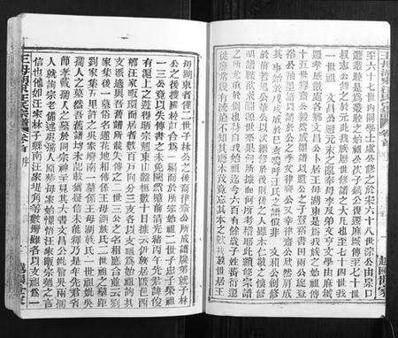 湖北汪氏族谱-王母湖东汪氏宗谱[16卷首1卷].pdf电子版预览图2