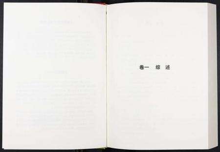 中国王氏族谱-中华王氏大成总谱. 第三部.pdf电子版预览图2