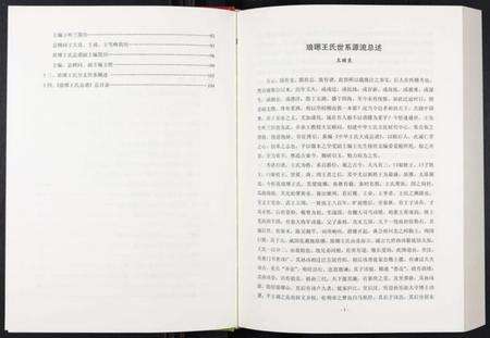 中国王氏族谱-中华王氏大成总谱. 第三部.pdf电子版预览图4