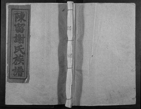 江西谢氏族谱-陈留郡谢氏十修族谱.pdf电子版缩略图