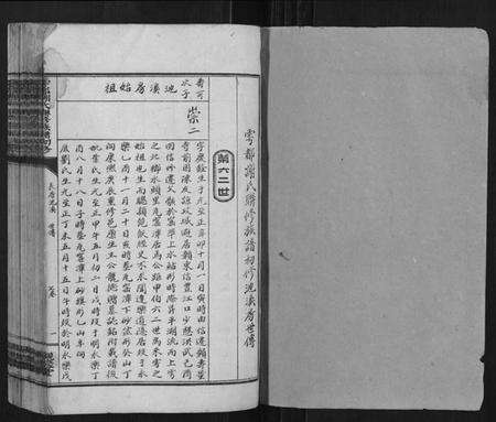 江西谢氏族谱-雩都谢氏联修族谱初修[按房分卷].pdf电子版预览图1