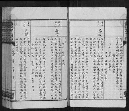 江西谢氏族谱-雩都谢氏联修族谱初修[按房分卷].pdf电子版预览图5