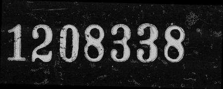 中国王氏族谱-王氏谱系及名人志.pdf电子版缩略图