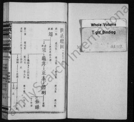 江西辛氏族谱-万载辛氏幼房谱 [11卷,及尾2卷].pdf电子版预览图2