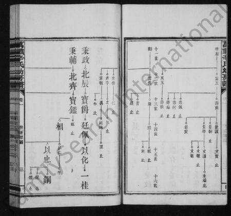 江西辛氏族谱-万载辛氏幼房谱 [11卷,及尾2卷].pdf电子版预览图5