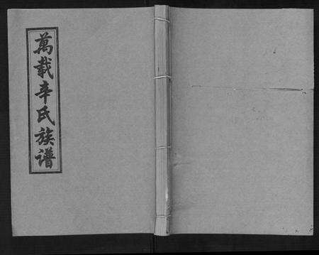 江西辛氏族谱-万载辛氏族谱 [按房分卷, 总卷2册, 长房谱44册, 次房谱1册, 幼房18册].pdf电子版