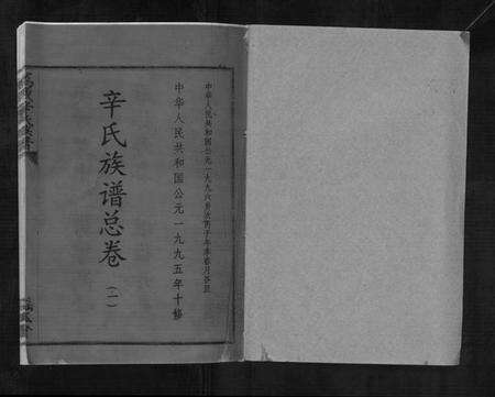 江西辛氏族谱-万载辛氏族谱 [按房分卷, 总卷2册, 长房谱44册, 次房谱1册, 幼房18册].pdf电子版预览图1