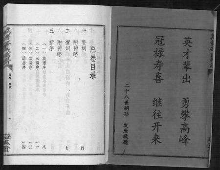 江西辛氏族谱-万载辛氏族谱 [按房分卷, 总卷2册, 长房谱44册, 次房谱1册, 幼房18册].pdf电子版预览图2