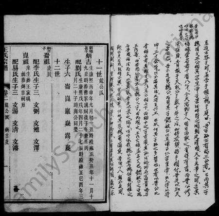 四川王氏族谱-王氏宗谱 [6卷,及首末].pdf电子版预览图3