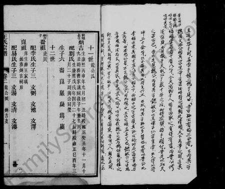 四川王氏族谱-王氏宗谱 [6卷,及首末].pdf电子版预览图4