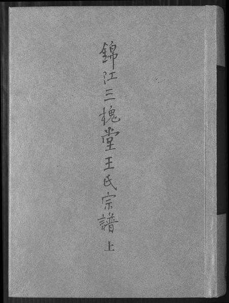 四川王氏族谱-锦江三槐堂王氏宗谱.pdf电子版缩略图