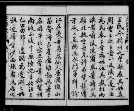 江苏王氏族谱-京江开沙王氏族谱 [10卷].pdf电子版预览图1