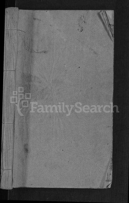 湖北王氏族谱-王兴三宗谱 [卷数不详].pdf电子版预览图1