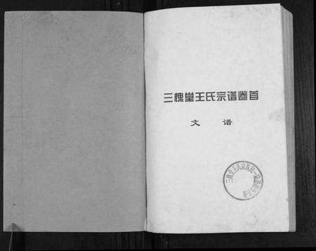 湖北王氏族谱-澴州王氏宗谱[13卷首1卷].pdf电子版预览图1