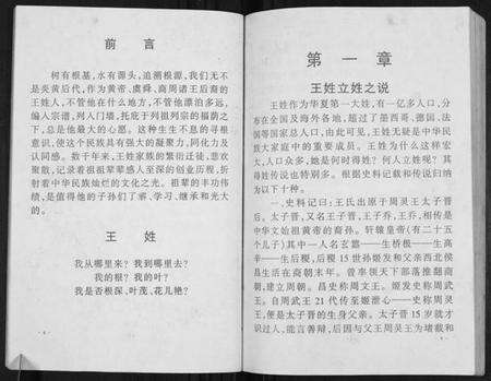 湖北王氏族谱-澴州王氏宗谱[13卷首1卷].pdf电子版预览图5