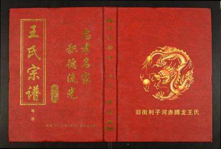 湖北王氏族谱-王氏宗谱.pdf电子版缩略图