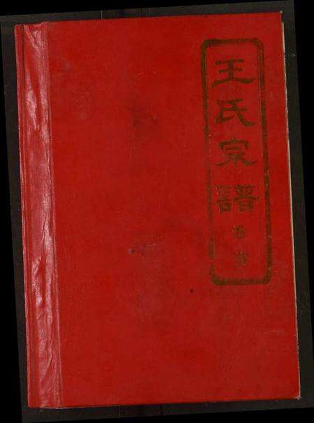湖北王氏族谱-王氏宗谱.pdf电子版缩略图