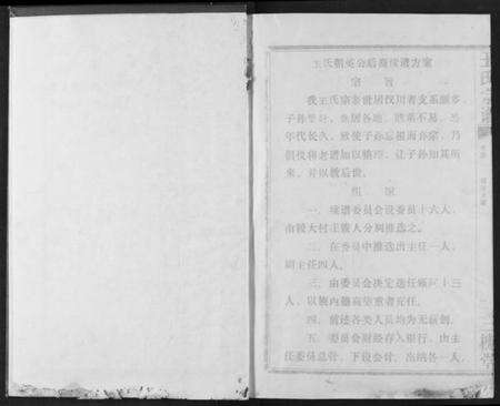 湖北王氏族谱-王氏宗谱.pdf电子版预览图2