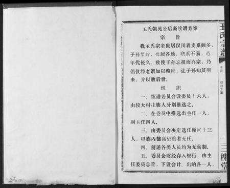 湖北王氏族谱-王氏宗谱.pdf电子版预览图3