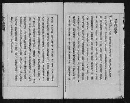 湖北王氏族谱-王氏宗谱.pdf电子版预览图4