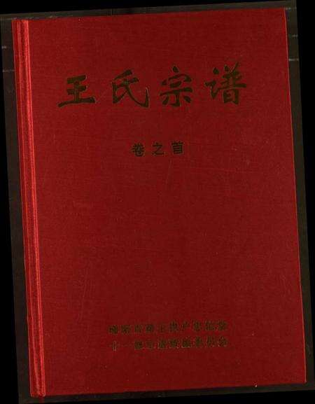 湖北王氏族谱-王氏宗谱.pdf电子版缩略图