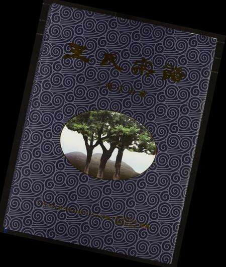 湖北王氏族谱-王氏宗谱.pdf电子版缩略图