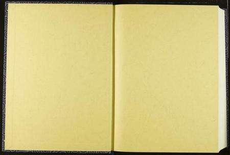 湖北王氏族谱-王氏宗谱.pdf电子版预览图1