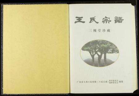 湖北王氏族谱-王氏宗谱.pdf电子版预览图2