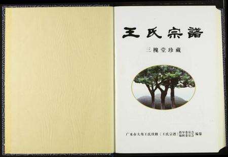 湖北王氏族谱-王氏宗谱.pdf电子版预览图3