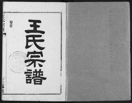 湖北王氏族谱-王氏宗谱.pdf电子版预览图1