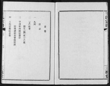 湖北王氏族谱-王氏宗谱.pdf电子版预览图2