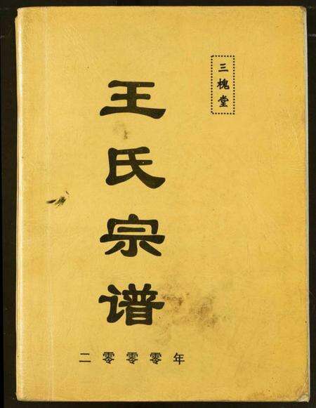 湖北王氏族谱-王氏宗谱.pdf电子版缩略图