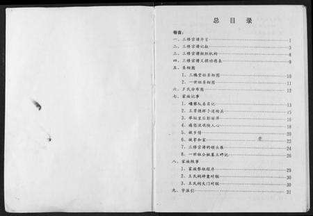 湖北王氏族谱-王氏宗谱.pdf电子版预览图2