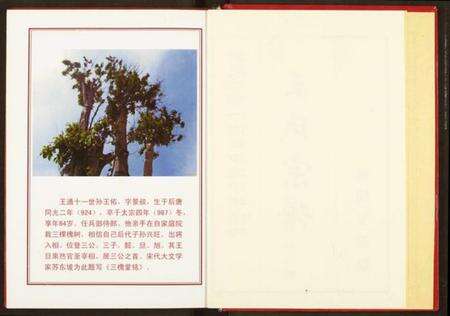 湖北王氏族谱-王氏宗谱.pdf电子版预览图3