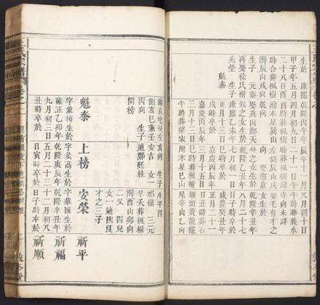 湖北王氏族谱-王氏宗谱.pdf电子版预览图2