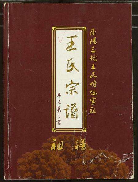 湖北王氏族谱-王氏宗谱.pdf电子版缩略图