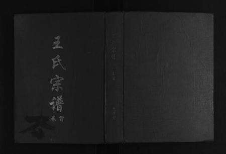 湖北王氏族谱-王氏宗谱.pdf电子版缩略图