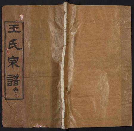 湖北王氏族谱-王氏宗谱.pdf电子版缩略图