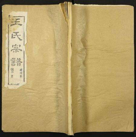 湖北王氏族谱-王氏宗谱.pdf电子版缩略图