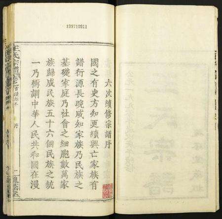 湖北王氏族谱-王氏宗谱.pdf电子版预览图3